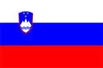 Slovenian flag